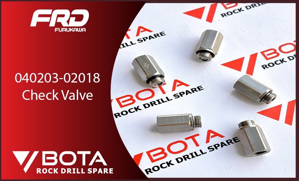 040203-02018 - Check Valve